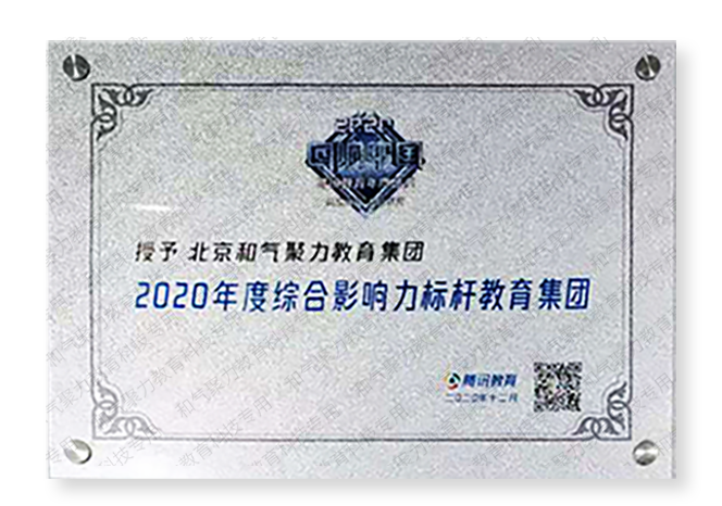 2020年度综合影响力标杆教育集团