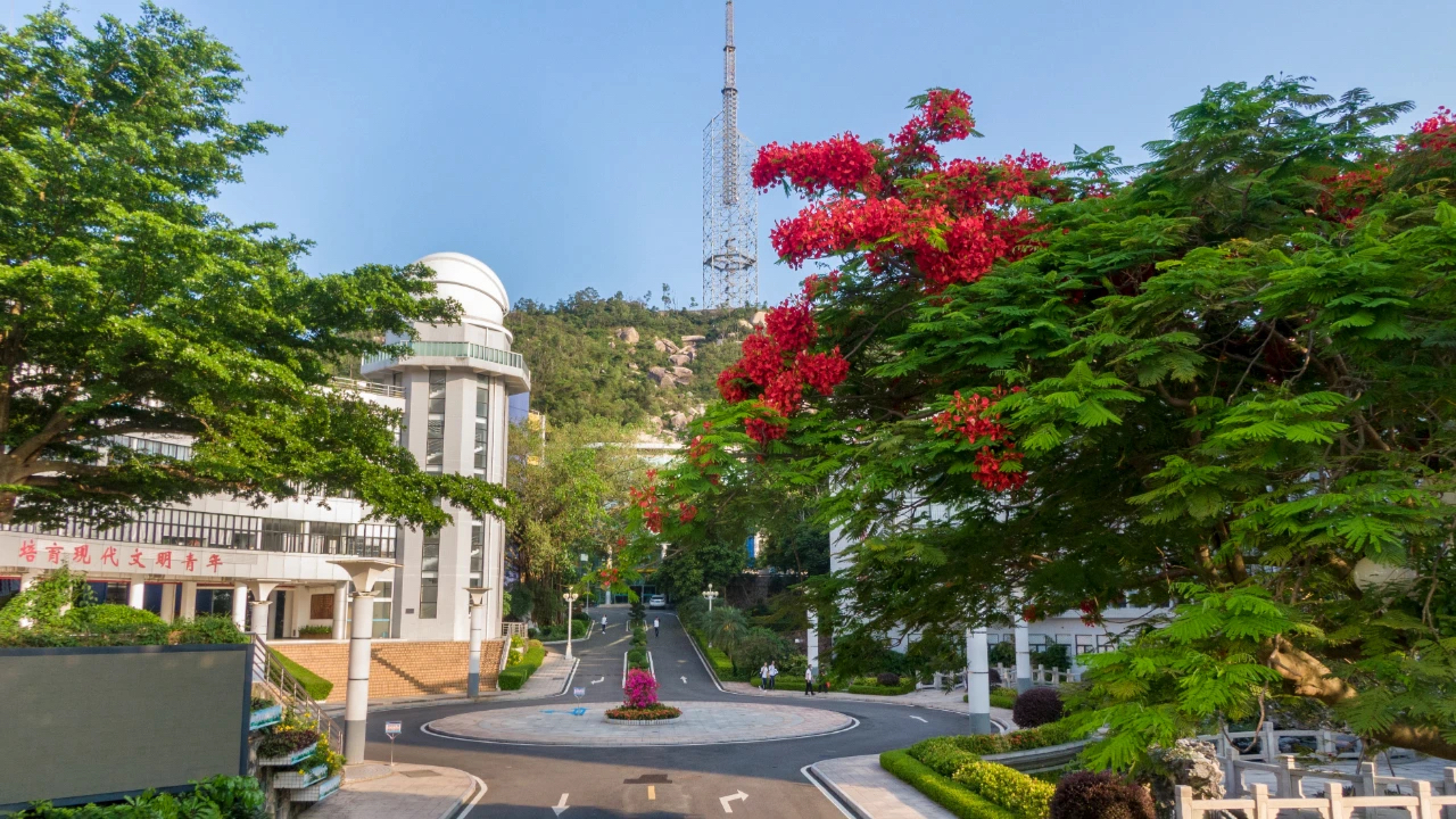 深圳外国语学校