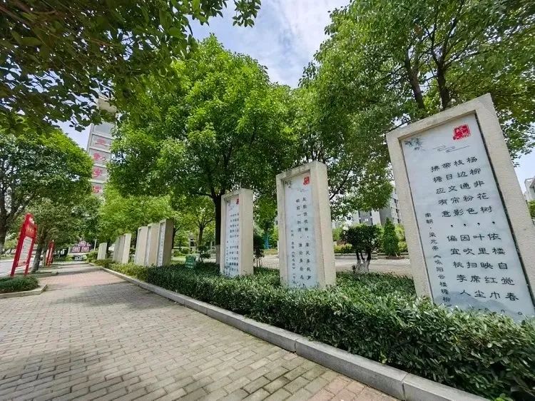 成绩分析系统