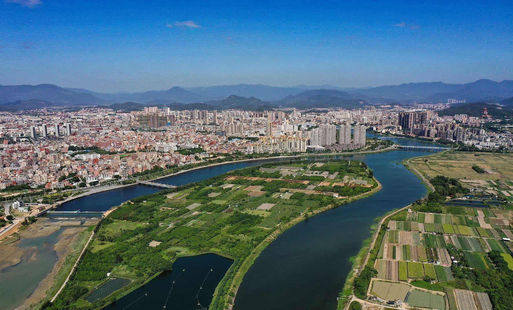 和气聚力区域案例 | 促进区域教学质量提升，有效应对疫情下教学难题